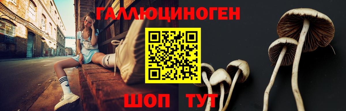 Галлюциногенные грибы Psilocybe  Псилоцибиновые грибы Magic Shrooms  Моздок  Вход с VPN 